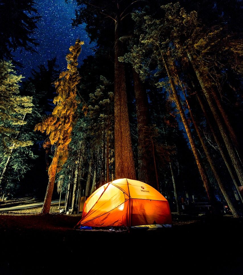 camping, dark, forest-1850107.jpg